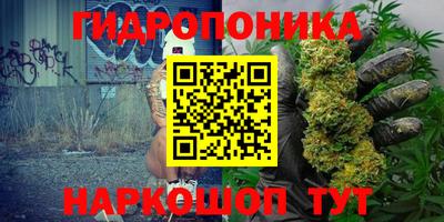 тгк Краснодар
