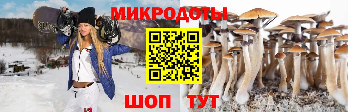Галлюциногенные грибы MAGIC MUSHROOMS  Вход с VPN  Камышин  Галлюциногенные грибы мицелий 